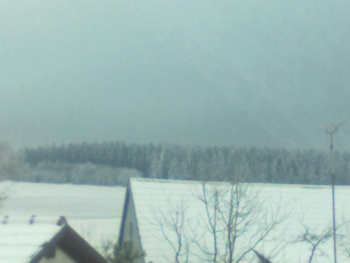 Předín