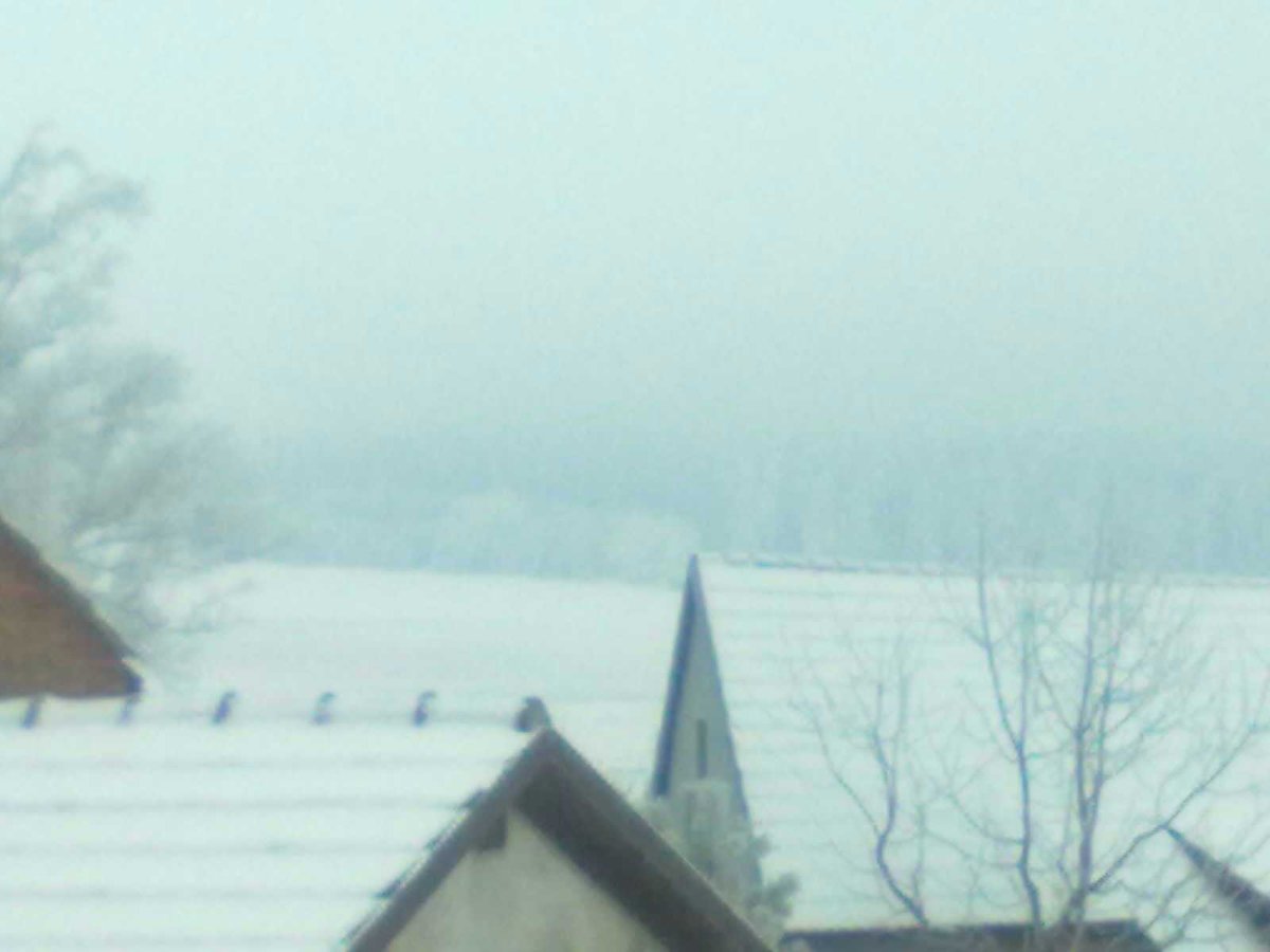 Předín