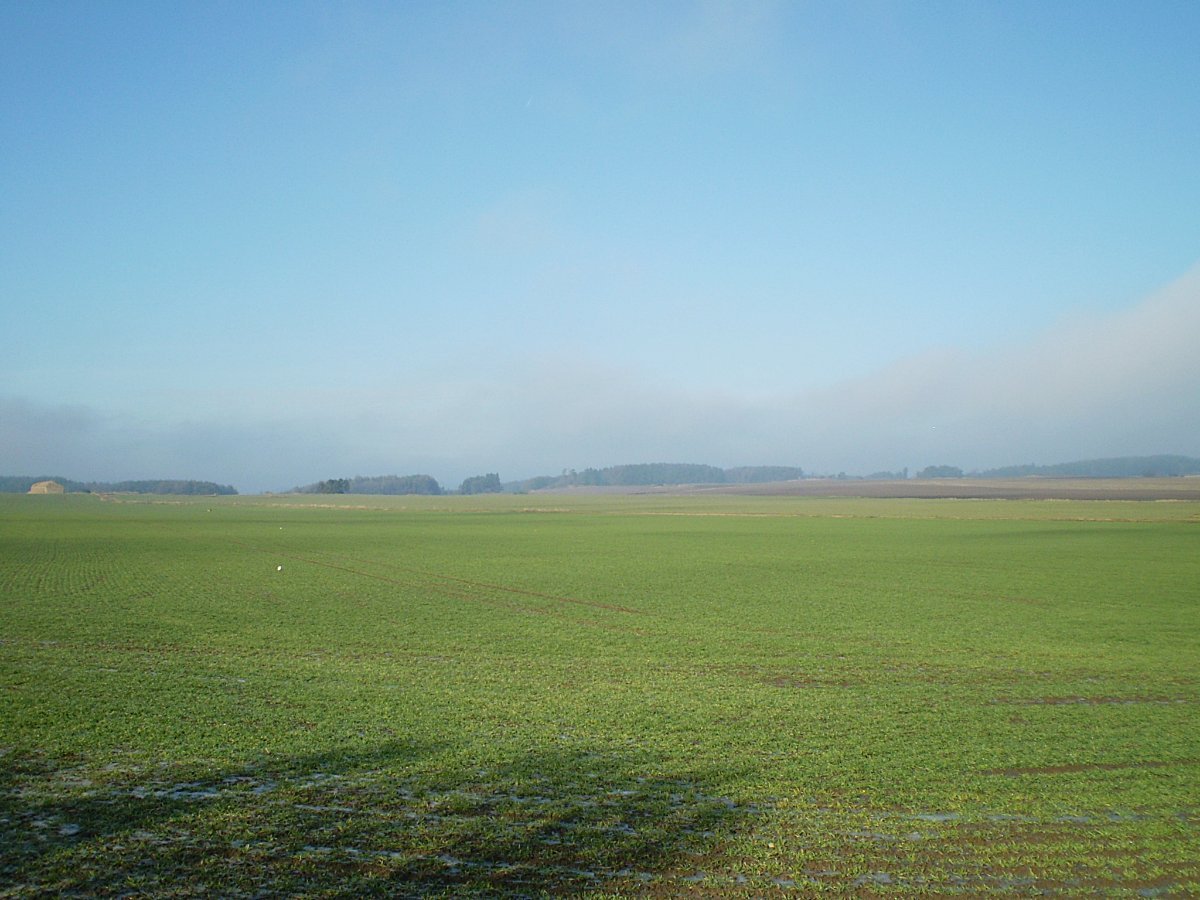 Hostákov