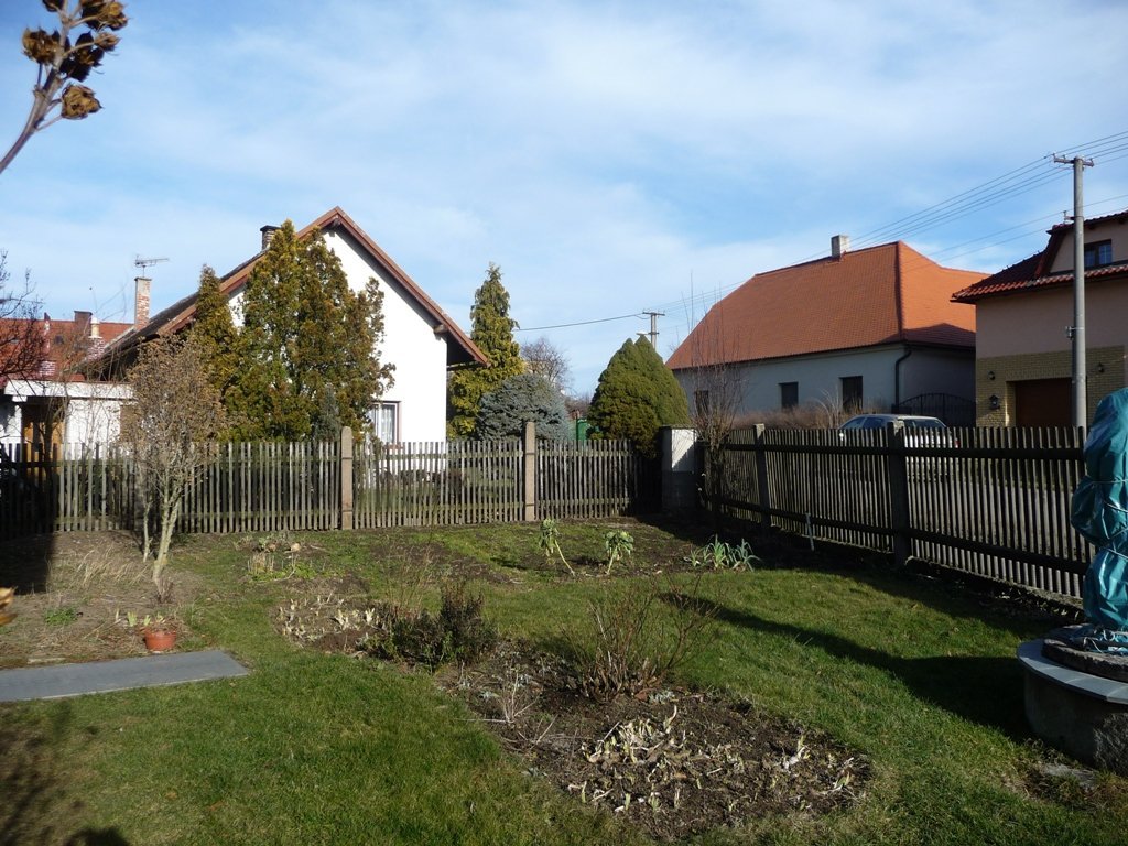 Třibřichy
