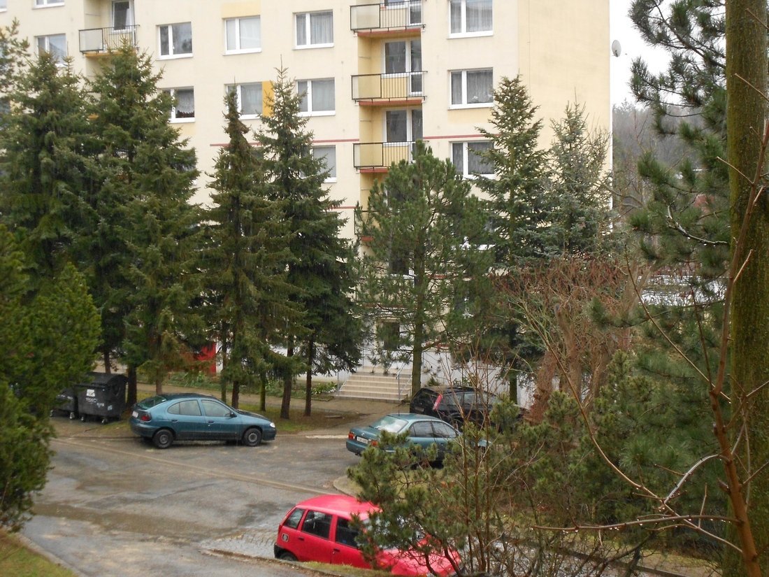 Borovina