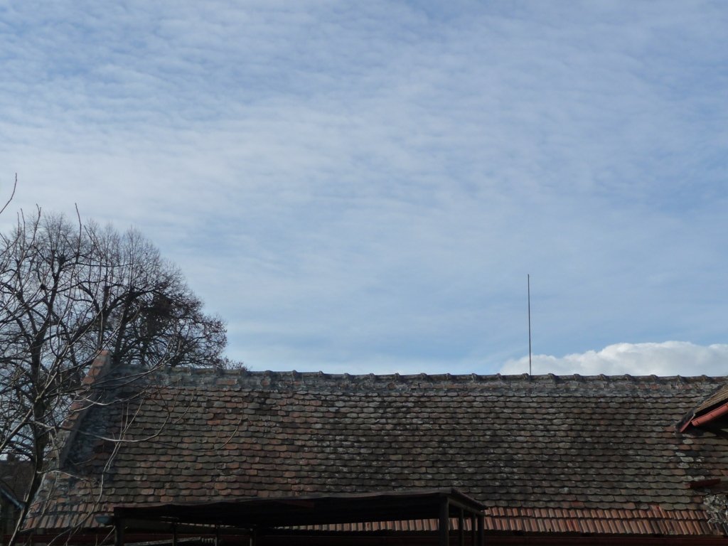 Třibřichy