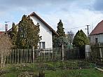 Třibřichy