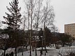 Borovina
