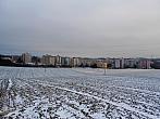 Borovina