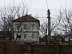 Třibřichy