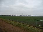Třibřichy