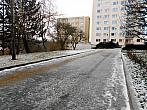 Borovina