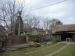 Třibřichy