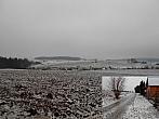 Borovina