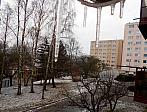 Borovina