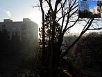 Borovina