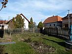 Třibřichy