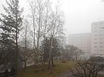 Borovina