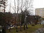Borovina