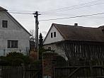 Třibřichy