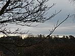 Borovina