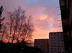 Borovina