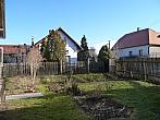 Třibřichy