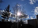 Borovina