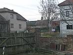 Třibřichy