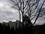 Borovina