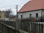 Třibřichy