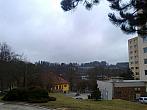 Borovina