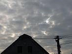 Třibřichy