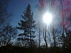 Borovina