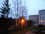 Borovina