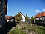 Třibřichy