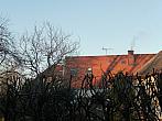 Třibřichy