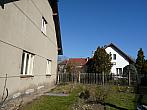 Třibřichy