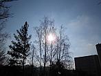 Borovina