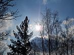 Borovina