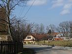 Třibřichy