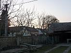 Třibřichy