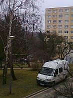 Borovina