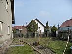 Třibřichy