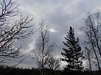 Borovina