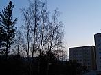 Borovina