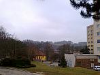Borovina