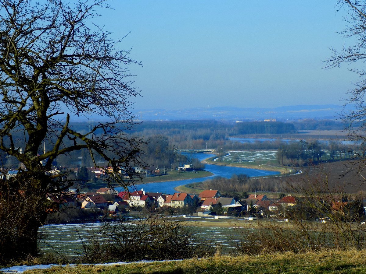Kvasice