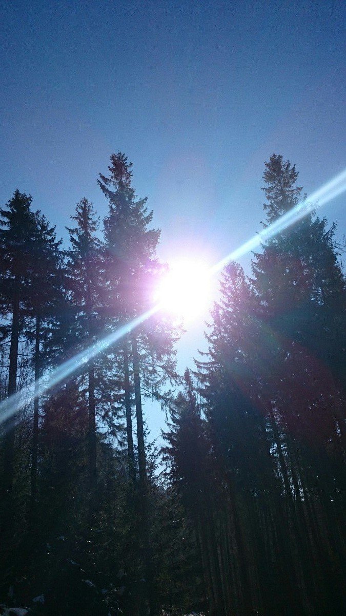 Biernač (Beskydy)