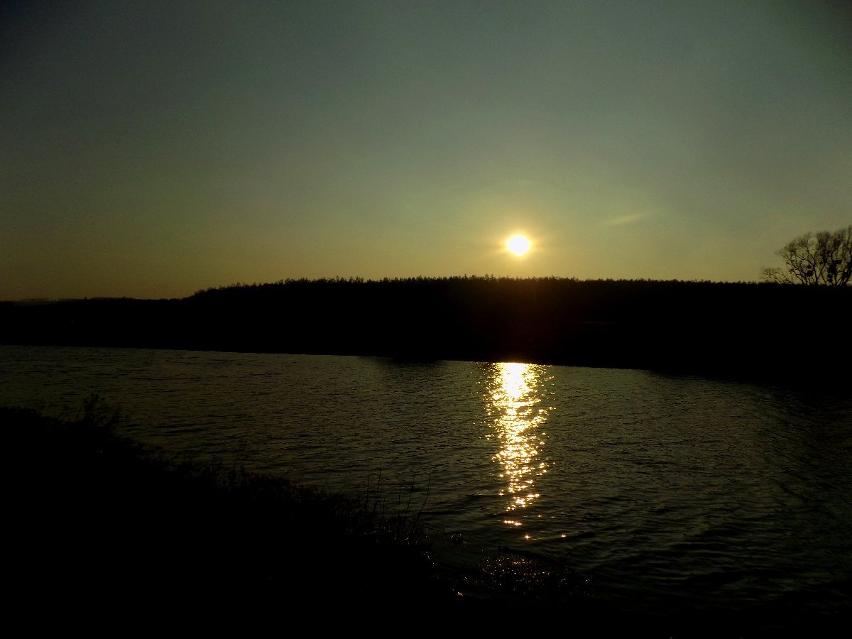 Kvasice