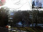Borovina