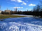 Borovina