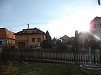 Třibřichy