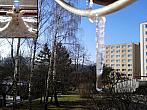 Borovina